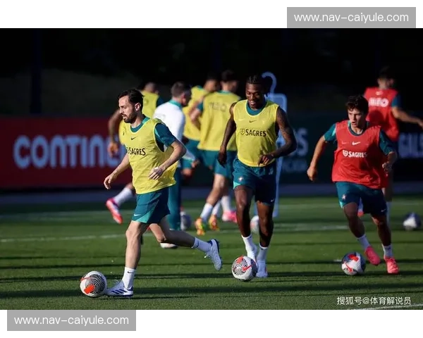 2016欧洲杯：波兰与葡萄牙的史诗对决，一场荡气回肠的命运之战